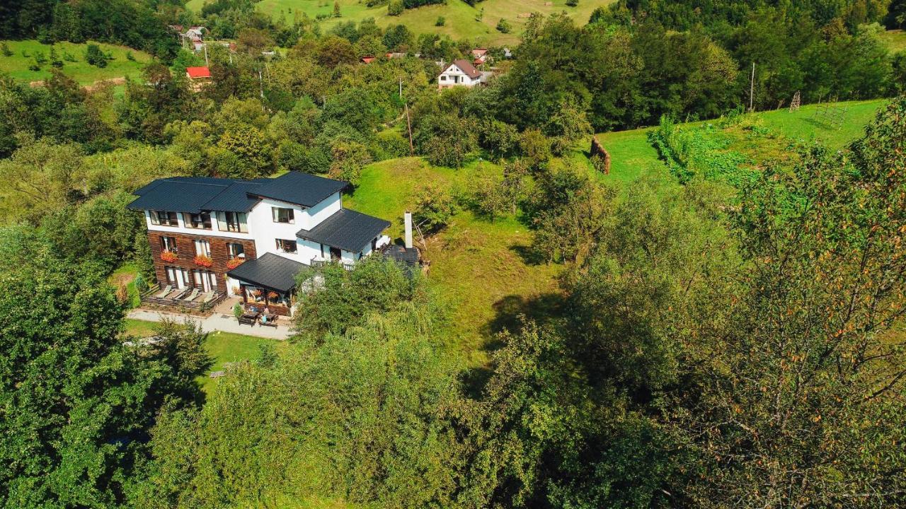 ホテル Talhaus Vişeu de Sus エクステリア 写真